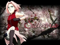 Sakura Shippuden